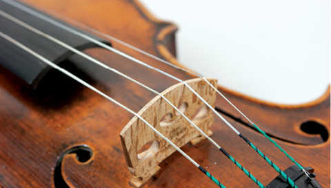 BiberPilat Paul Violin 480
