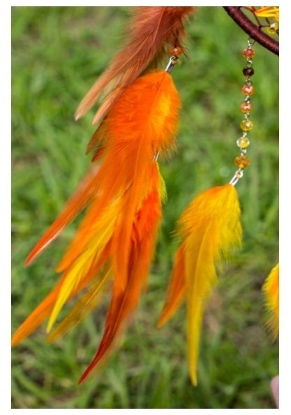 orange feathers